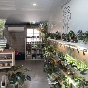 lv plant collective|lv plant collective fremont fl.